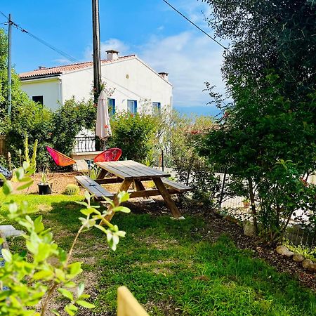 La Cave Marine Du Trottel Apartman Ajaccio  Kültér fotó